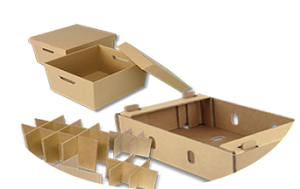 Die-Cut Carton Box