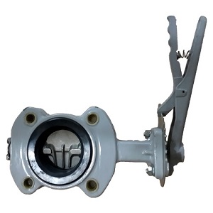 Butterfly Valve