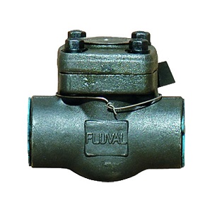 Check Valve 800#