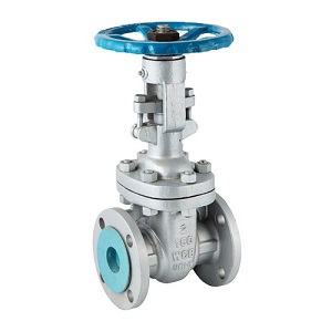 Gate Valve 150#