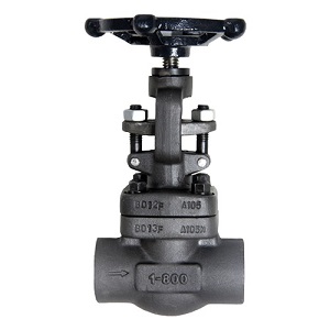 Globe Valve 800# – 1500#