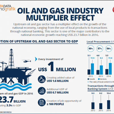 Infographic Indonesia 2017